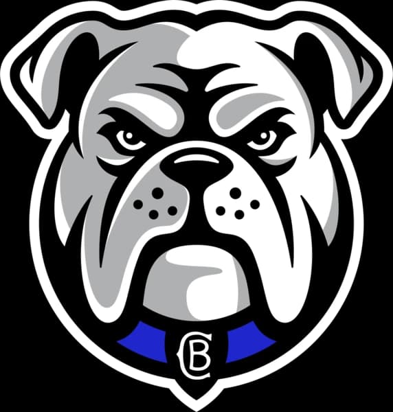 Canterbury-Bankstown Bulldogs